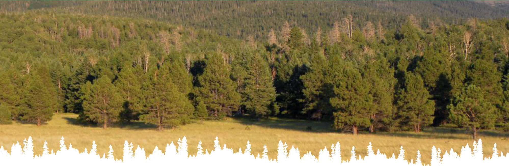 Sweri-Header-Image